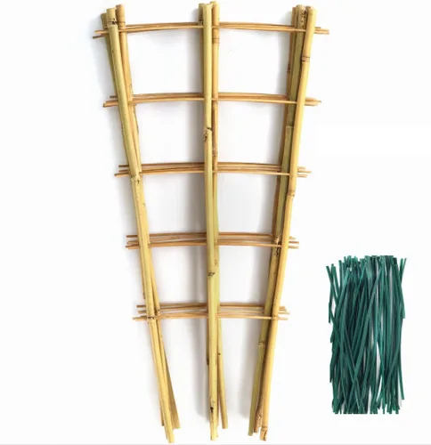 SWANGSA Paquete de 6 enrejados de bambú de 24 pulgadas para plantas trepadoras, enrejado de bambú en forma de abanico, pepino, tomate, enrejado con
