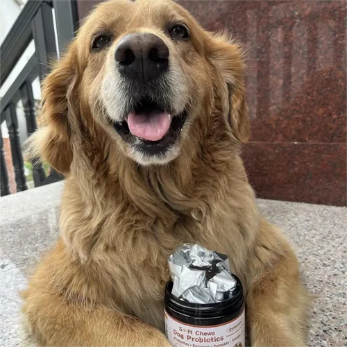 Miniatura 9 de Probióticos para perros, probióticos para perros para la salud digestiva, además de calabaza y aceite de pescado, para intestino y picazón, 120