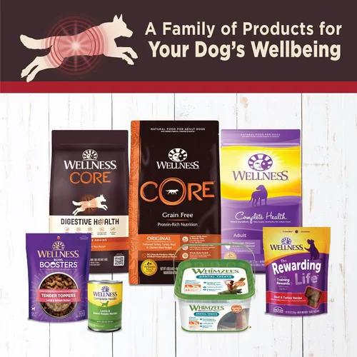 Miniatura 7 de Wellness CORE Digestive Health Paté Alimento húmedo enlatado para perros adultos, sin granos, estómago sensible, natural, receta de carne de res, 13