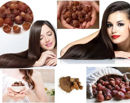Aritha Powder 3.53 oz | 100% puro y orgánico reetha cultivado en polvo de soapnut artesanal silvestre | Champú y acondicionador natural para el
