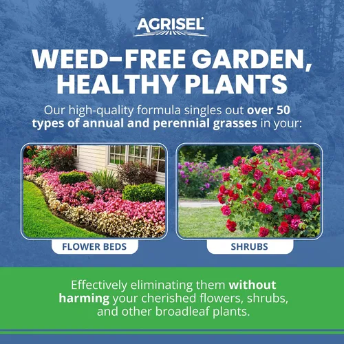 Miniatura 2 de Agrisel GrassOut Max - Herbicida para más de 50 malezas herbáceas sin dañar las plantas deseadas, seguro para mascotas, tratamiento de área grande