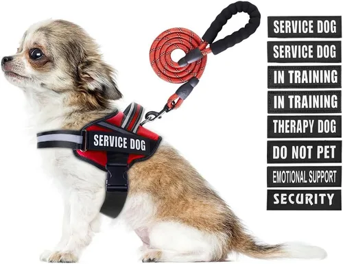 Miniatura 24 de Juego de arnés y correa para perro de servicio, arnés de entrenamiento para perro Animire con 10 parches para perros, correa reflectante para perro