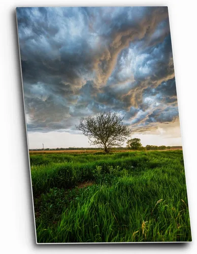 Miniatura 6 de Great Plains - Impresión fotográfica (sin marco), imagen vertical del árbol bajo el cielo tormentoso en el día de primavera en la pradera de Kansas