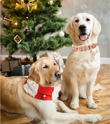 Miniatura 3 de Collar de perro de Navidad de Lionheart glory Collar de Jengibre Hombre Collar de perro ajustable Collares de perro suaves para perros rosa Collares