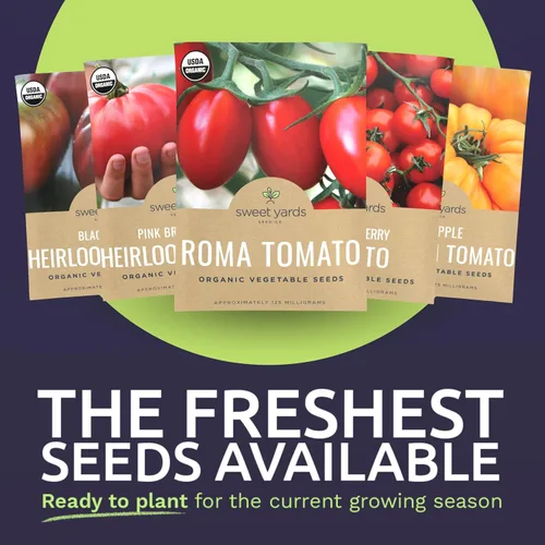 Miniatura 3 de Paquete variado de semillas de tomate orgánico – 5 paquetes individuales – Temporada 2026 – Roma, Brandywine rosa, cereza Sweetie, Krim negro