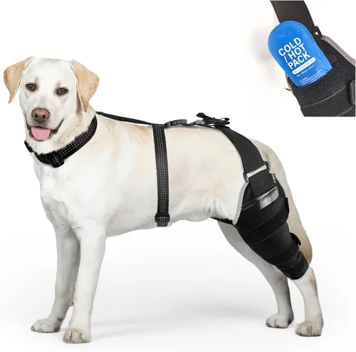 Perro ACL Brace pata trasera – Soporte de pierna trasera ajustable transpirable con gel de compresión caliente/frío para artritis, hinchazón y