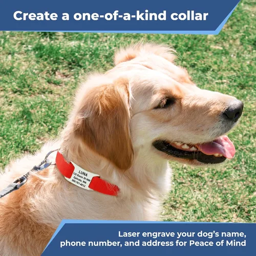 Miniatura 3 de GoTags Collar reflectante para perro con placa de identificación personalizada, collar de perro ajustable con placa de identificación de mascota