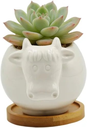 Cuteforyou Macetas para suculentas, bonita maceta de cerámica con forma de vaca de dibujos animados para suculentas/cactus/flores, soportes para
