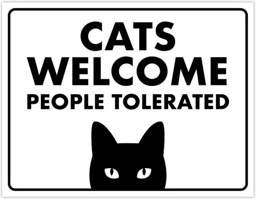 Miniatura 38 de Señal de Gato de 24 Horas de Vigilancia Felina de Premises Under 24 Hour - Cartel de gato divertido, metal, 8 x 12 pulgadas, letreros de gato