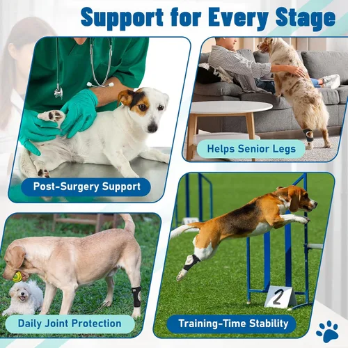 Miniatura 5 de Soportes para patas de perro para patas traseras y delanteras, soporte articular de perro y tobillo para patas traseras débiles con 2 tiras