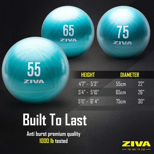 Miniatura 5 de Ziva Pelota de ejercicio de fitness con núcleo antiestallido, pelota de yoga antideslizante de grado profesional para equilibrio de estabilidad