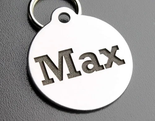 Placa personalizable para identificación de mascotas con grabado en parte delantera y trasera, acero inoxidable para perros y gatos, normal, Negro