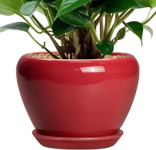 Miniatura 17 de Maceta de Cerámica Moderna con Esmalte para Suculentas con Agujero de Drenaje y Platillo, Maceta Redonda de 6 Pulgadas para Plantas de Flores