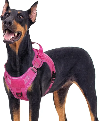 Miniatura 42 de rabbitgoo - Arnés para perros pequeño sin tirones, chaleco táctico de servicio con Molle y asa de control, arnés militar ajustable y reflectante