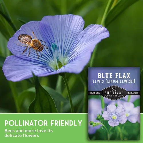 Miniatura 6 de Lewis - Semillas de lino azul para plantar, planta y cultiva flores silvestres nativas perennes tolerantes a la sequía para el jardín de tu hogar
