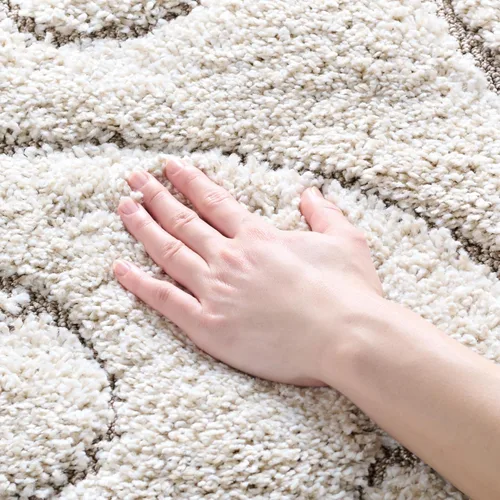 Miniatura 54 de SAFAVIEH - Alfombra de la colección Florida Shag - 10 pies redonda, color crema y beige, diseño de pergamino, no suelta pelusa y fácil de limpiar