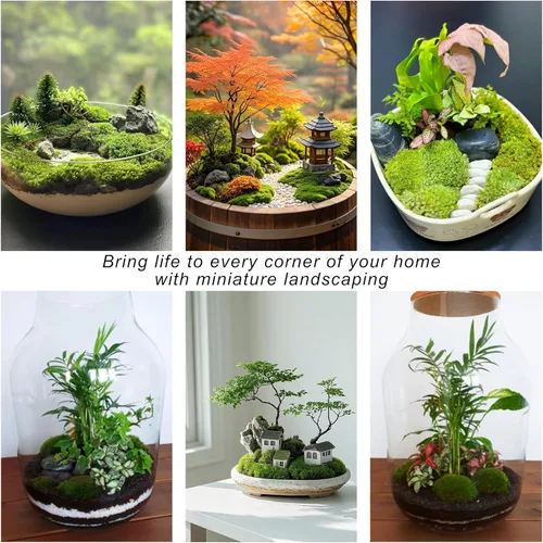 Miniatura 6 de TurelinnG Decoración de musgo preservado, musgo de bosque real, musgo para manualidades, flexible para manualidades, hogar, pared, terrario