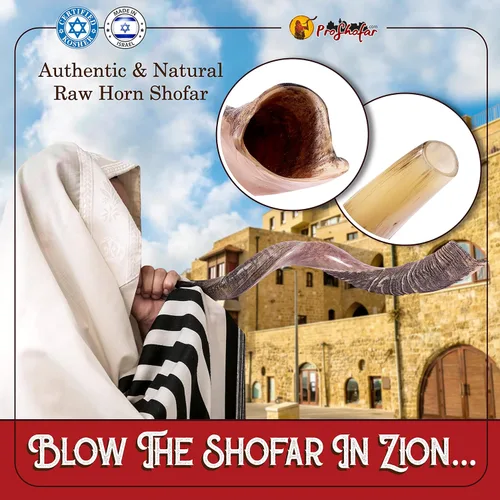 Miniatura 4 de Juego de Shofar Kudu Kosher medio pulido de Israel, más bolsa, certificado kosher firmado oficialmente, cuerno de shofar hecho en Israel