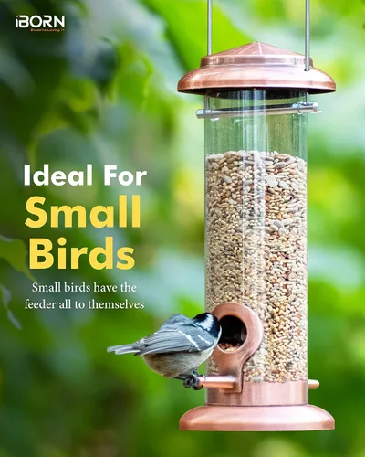 Miniatura 3 de iBorn - Comedero de metal para pájaros colgante, comederos para aves silvestres para mezclas de semillas, resistente, acabado metálico completo, 2