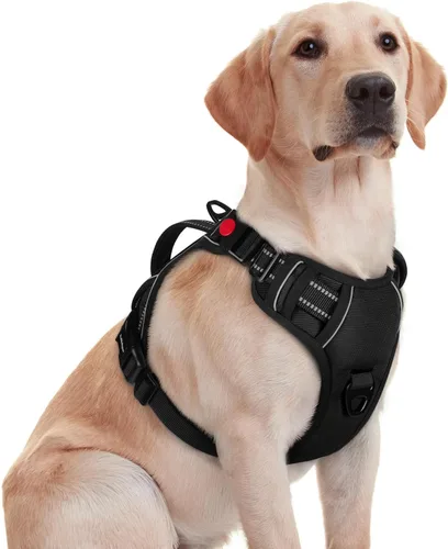 Miniatura 25 de rabbitgoo Arnés para perro de tamaño pequeño, arnés para mascotas sin tirones con mango acolchado suave, chaleco reflectante ajustable con 3
