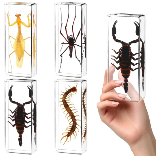 Miniatura 7 de Juego de 20 muestras de insectos en resina, colección de insectos, pisapapeles, arácnidos, resina de arácnidos, diferentes tipos o tamaños, insecto