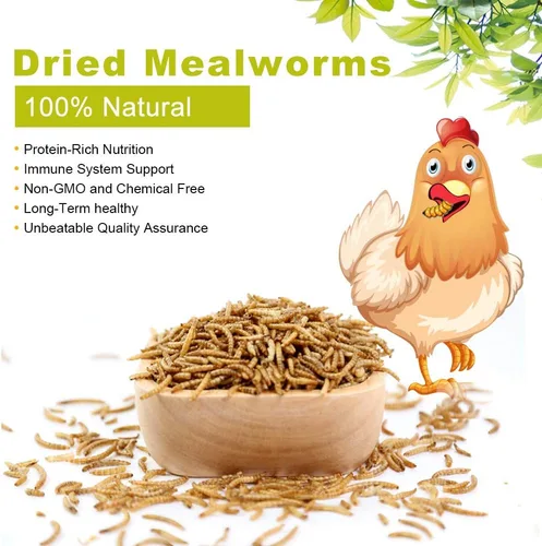Miniatura 3 de 20 libras de gusanos secos, gusanos altos en proteínas para aves, pollos, tortugas, peces, hámsters y erizos, sin OMG y libres de químicos, alimento