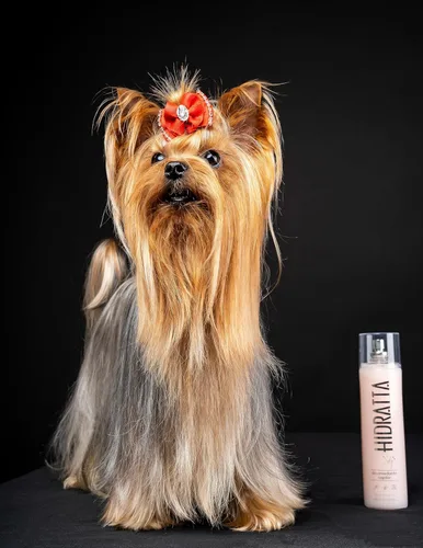Miniatura 2 de Spray desenredante prémium para perros y gatos – Henna y aceites naturales para un fácil cepillado y capa suave y brillante, 8.4 oz (8.5 fl oz)