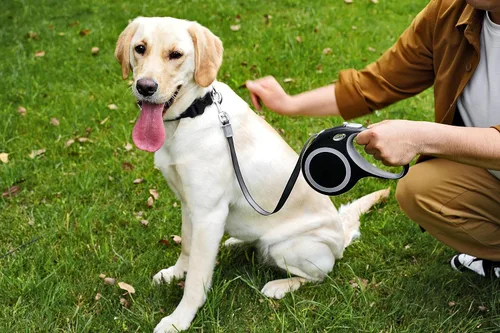 Miniatura 7 de Correa retráctil para perro, correa de perro de 26 pies para perros pequeños a grandes de hasta 110 libras, diseño resistente con mango