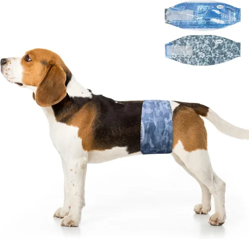 Dono Pañales desechables para perros machos, pañales más anchos para cachorros, bandas para el vientre macho, superabsorbentes, ajuste a prueba de