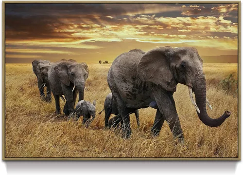 Miniatura 10 de Arte de pared blanco y negro de elefante – Pintura rústica en lienzo – Imagen de animales africanos – Obra de arte natural para decoración de baño