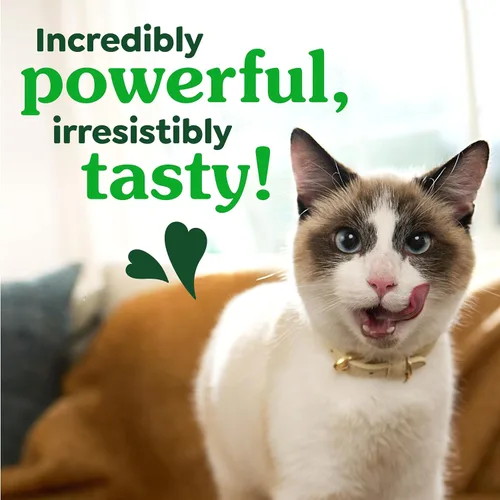 Miniatura 8 de Greenies Golosinas dentales naturales para gatos adultos recomendadas por veterinarios felinos, sabor hierba gatera, bolsa de 2.1 onzas