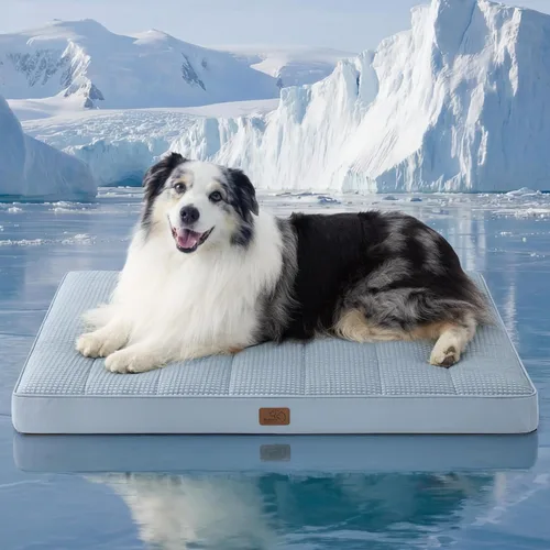 Miniatura 41 de Bedsure Camas para Perros Tamaño Grande - Cómodas Camas Planas para Mascotas con Funda Lavable Extraíble, Alfombrilla de Espuma Ortopédica
