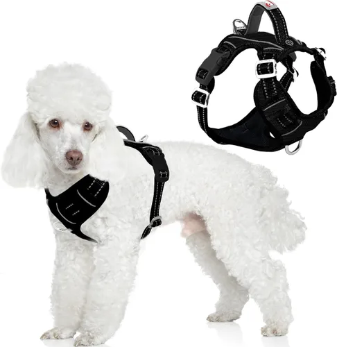 Miniatura 21 de BARKBAY Arnés para perro sin tirones con bolsillo para etiqueta de identificación, resistente, reflectante, fácil control para perros grandes