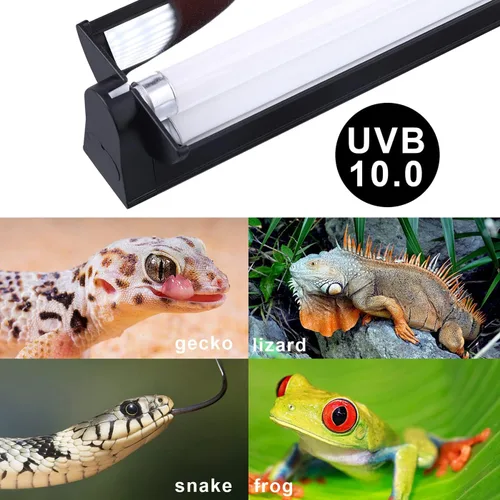 Miniatura 7 de Aiicioo Kit combinado de iluminación T5 UVB – Lámpara de 12 pulgadas Desert 10.0 para capó de terrario y bombilla T5 HO UVB de alto rendimiento
