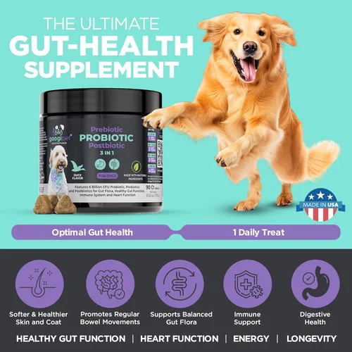 Miniatura 4 de Googipet Probiotics for Dogs Digestive Health – Prebióticos y probióticos masticables para tratamiento de infección por levaduras de perro + enzimas