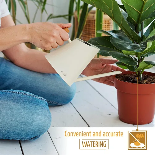 Miniatura 5 de AnaVeRa Regadera para plantas de interior, pequeña lata de agua de acero inoxidable con boquilla larga recta, regadera con mango de madera para casa