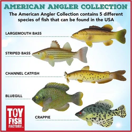Miniatura 3 de Toy Fish Factory American Angler Collection - Juego de peces de juguete, figuras de peces de juguete, pez gato de lobina grande, juguete educativo