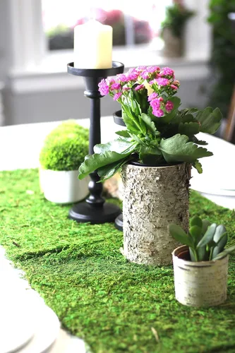 Miniatura 28 de Alfombra y tapetes de musgo preservado (12 pulgadas x 6 pies)
