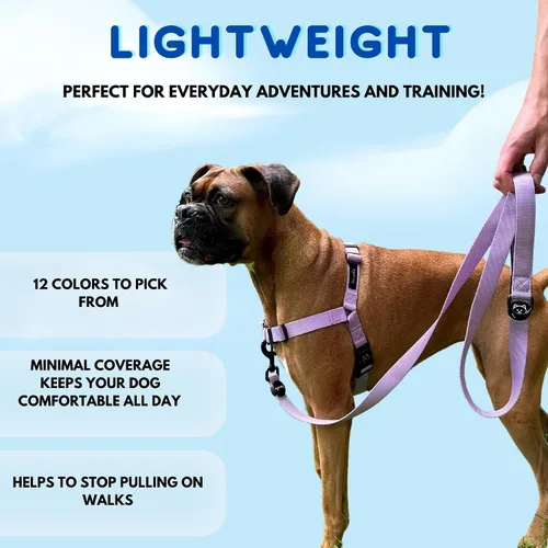 Miniatura 5 de ShawnCo Dream Walk Arnés para Perros Sin Tirones - Ajustable, Cómodo, Fácil de Usar, Cabestro para Mascotas para Ayudar a Detener los Tirones