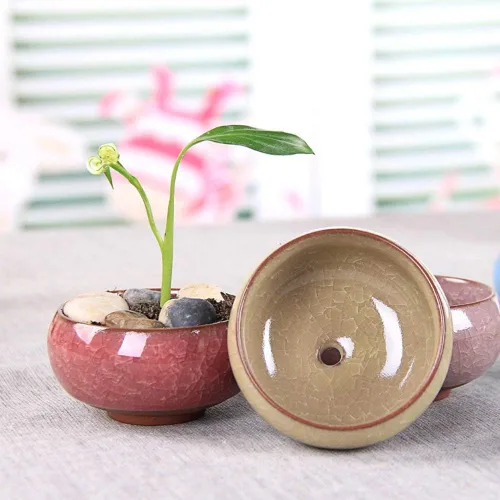 Miniatura 6 de Macetero para suculentas, 12 piezas de cerámica de 2.5 pulgadas, para plantas de cactus, maceta, maceta, contenedor/maceta