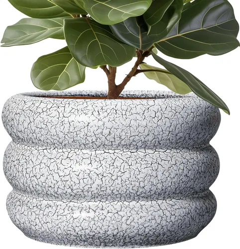 Miniatura 29 de Maceta de cerámica SQOWL para plantas de 8 pulgadas - Maceta de interior con orificio de drenaje para plantas de exterior, maceta floral moderna