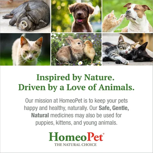 Miniatura 7 de HomeoPet Estrés articular, apoyo articular para perros y gatos, medicamentos líquidos para mascotas para apoyar el movimiento saludable