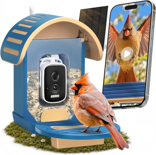 Miniatura 9 de Comedero inteligente para pájaros con cámara, cámara de observación de aves WiFi con energía solar de 2.5 K, identificación de especies de aves AI