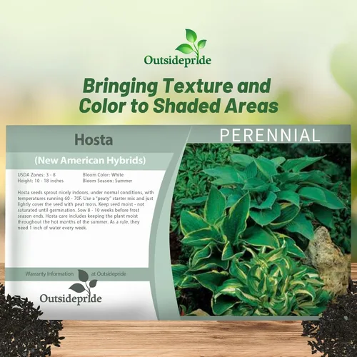 Miniatura 5 de Outsidepride Hosta American Seeds - 50 unidades. Perenne, fácil de cultivar y de bajo mantenimiento, semillas de flores para plantar follaje mixto