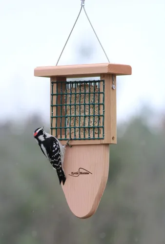 Miniatura 2 de Kettle Moraine Cedro Single Cake Tail Prop Suet Comedero para pájaros con cable colgante