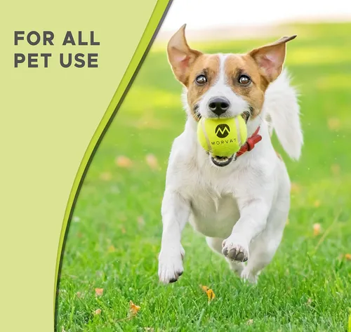 Miniatura 6 de Morvat Pelotas de tenis profesionales de tamaño estándar, bolas de fieltro amarillo presurizadas extra resistentes para niños, adultos y perros