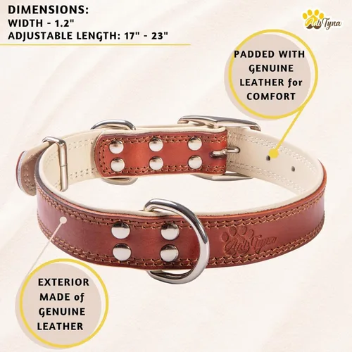 Miniatura 4 de ADITYNA Collar de cuero resistente para perros grandes - Suave y acolchado para mayor comodidad - Collar grande para perros para caminar, entrenar