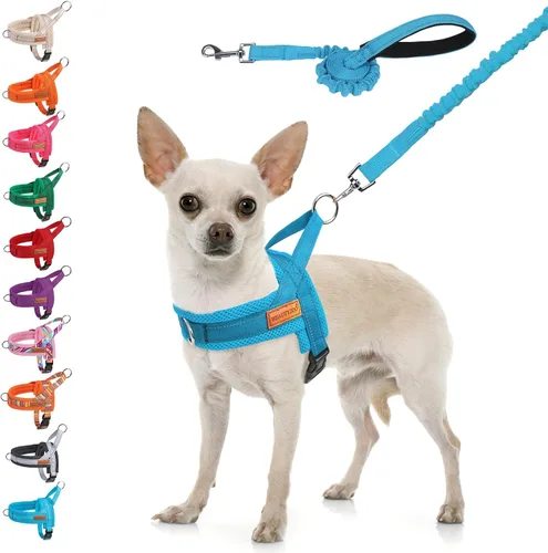 Miniatura 21 de BEAUTYZOO Arnés para Perros Pequeños, Juego de Arnés y Correa sin Tirones, Arnés de Chaleco para Cachorros Suave a Prueba de Escapes con Manija