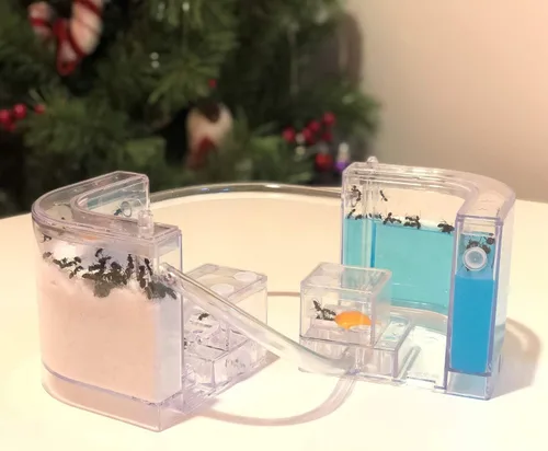 Miniatura 6 de NAVAdeal - Granja de hormigas de arena con tubos de conexión, kit educativo y de aprendizaje de hábitat para niños y adultos, permite el estudio