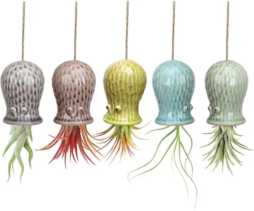 Miniatura 9 de Paquete de 4 soportes únicos para plantas de aire, lindo soporte de pared para plantas de aire de piña, soportes de cerámica Tillandsia para plantas